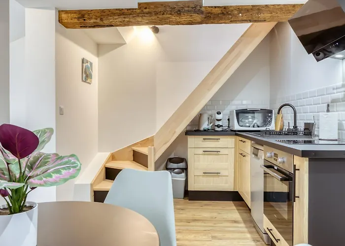 L'ecureuil Voyageur Joli Duplex Centre * Руан